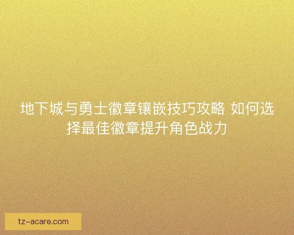 地下城与勇士徽章镶嵌技巧攻略 如何选择最佳徽章提升角色战力