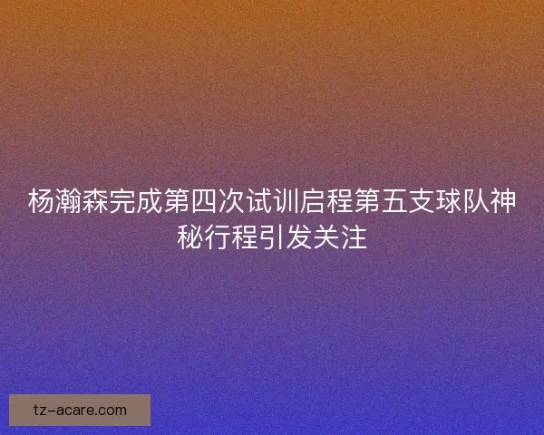 杨瀚森完成第四次试训启程第五支球队神秘行程引发关注