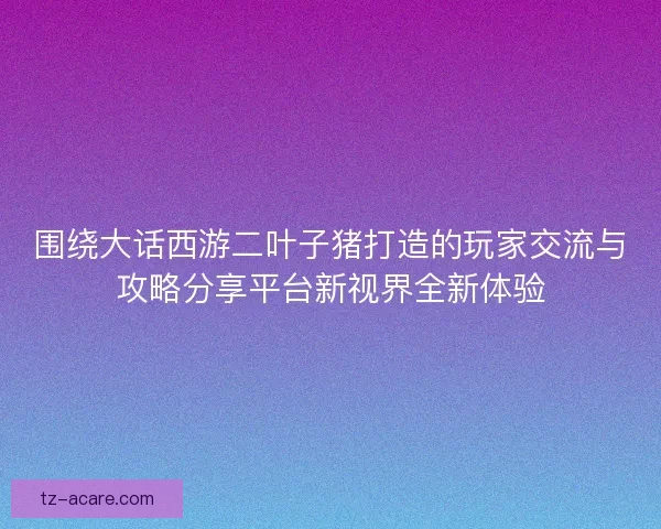 围绕大话西游二叶子猪打造的玩家交流与攻略分享平台新视界全新体验